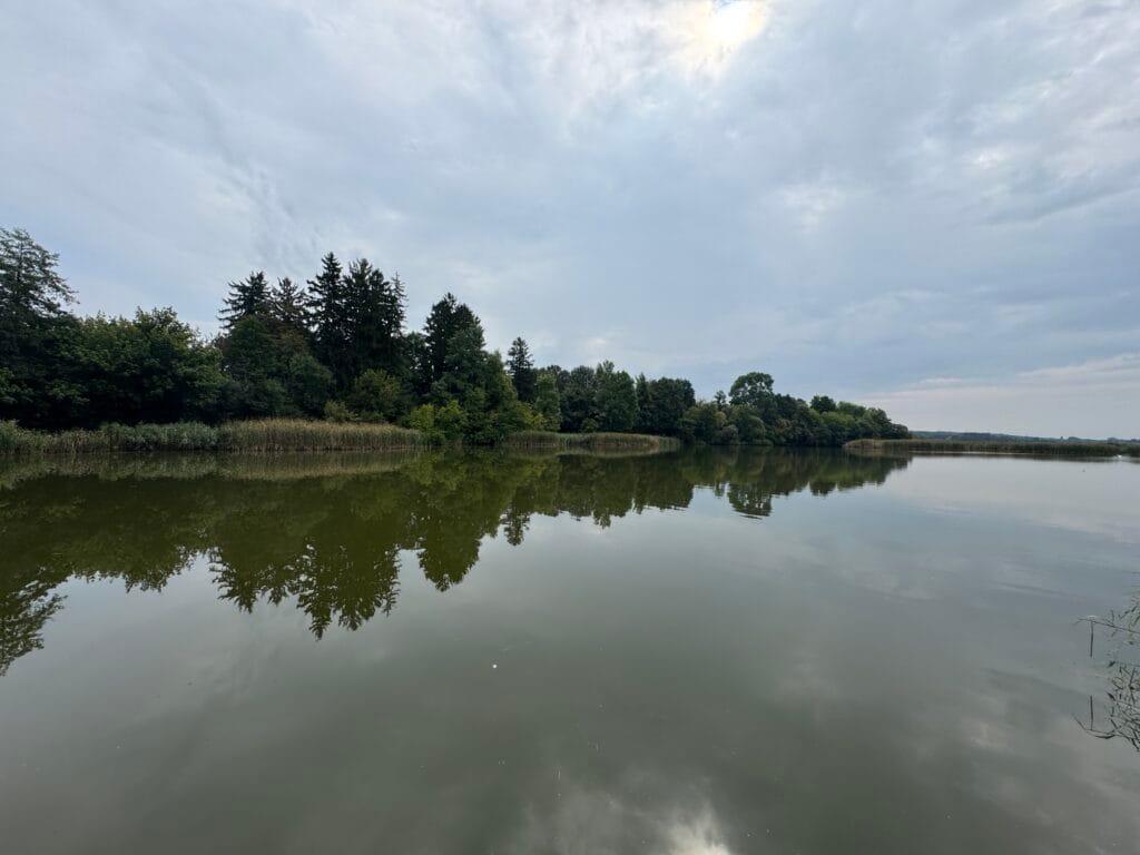 Sustainable biological fish farming using EM technology and probiotic fish feed to improve pond water quality and fish health.